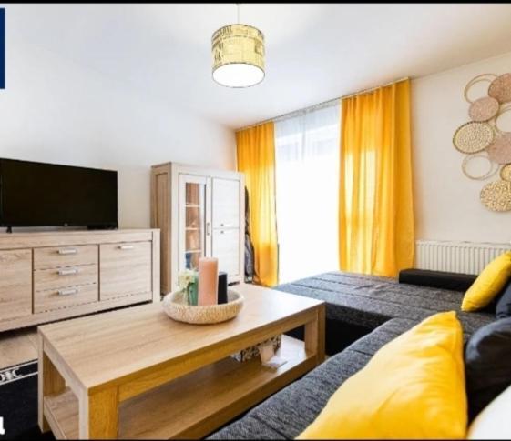 Apartament De Lux Cu Terasă Situat în Vilă Appartement *
